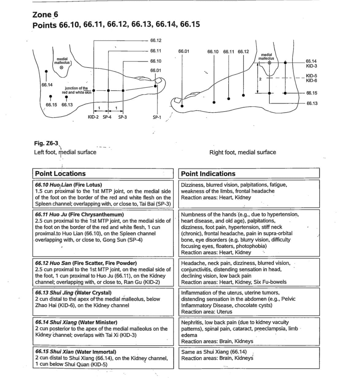 Practical Atlas Of Tungs Acupuncture