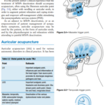 2021-08-20 23_55_44-ebooksclub.org__Acupuncture_in_Manual_Therapy.pdf – Profile 1 – Microsoft​ Edge