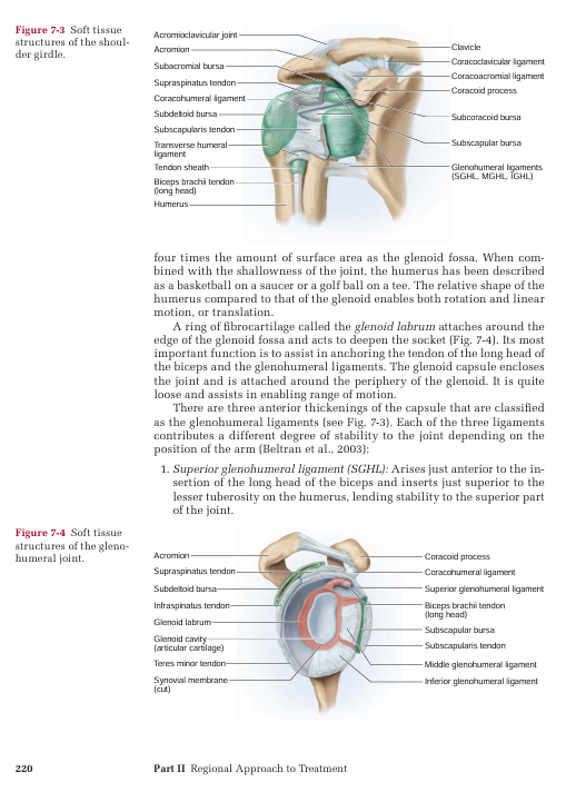 Screenshot (1595)
