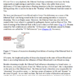 Screenshot (1516)